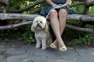 Maria Sansone feet photo 3
