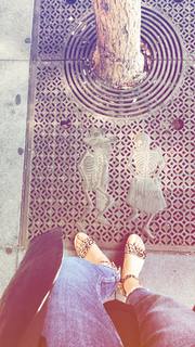 Maria Sharapova feet photo thumbnail