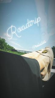 Maria Sharapova feet photo thumbnail