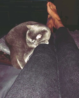Maria Silvestar feet photo 13