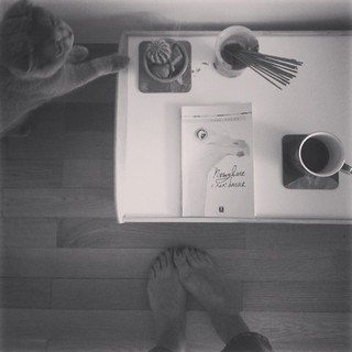 Maria Silvestar feet photo 17