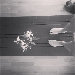 Maria Silvestar feet photo 12
