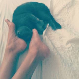 Maria Silvestar feet photo 10
