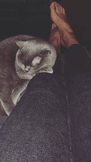 Maria Silvestar feet photo 19