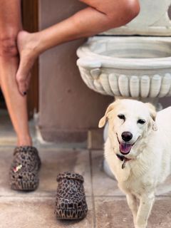 Maria Solomou feet photo 7