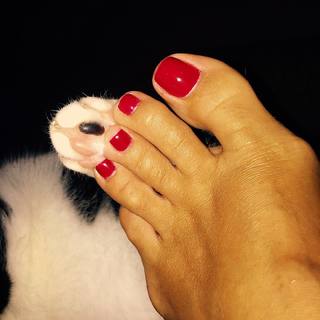Maria Tzineri feet photo 2