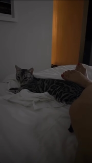 Mariah the Scientist feet photo thumbnail