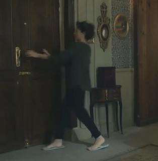 Mariam El Khosht feet photo 8