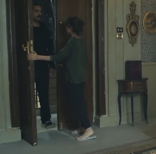 Mariam El Khosht feet photo 6