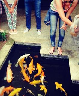 Mariana Echeverria feet photo thumbnail