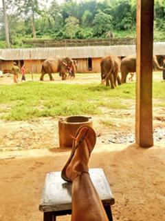 Mariana Echeverria feet photo thumbnail