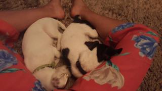 Mariana Monteiro feet photo 1