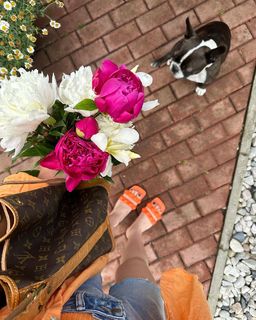 Mariana Pracharova feet photo 20