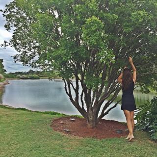 Mariana Rios feet photo thumbnail