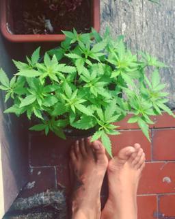 Mariana Rodríguez feet photo 15