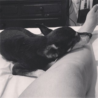 Mariana Santos feet photo 16