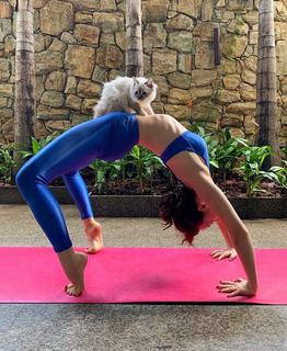Mariana Ximenes feet photo thumbnail
