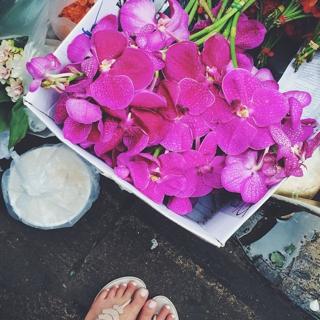 Marianna Hewitt feet photo 3