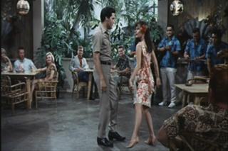 Marianna Hill feet photo 4