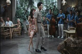 Marianna Hill feet photo 3