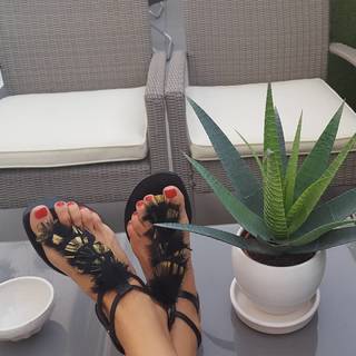 Maribel Verdú feet photo thumbnail