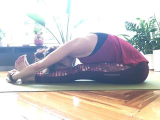 Maribel Verdú feet photo thumbnail