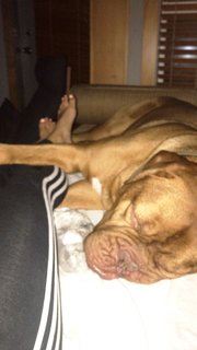 Marie Avgeropoulos feet photo thumbnail
