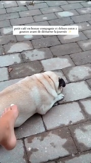 Marie Lopez feet photo thumbnail