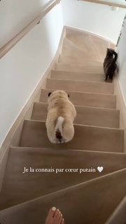 Marie Lopez feet photo thumbnail