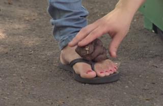 Marie Pierre Bouchard feet photo 10