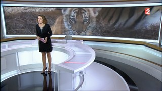 Marie-Sophie Lacarrau feet photo 3