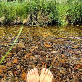 Mariel Hemingway feet photo thumbnail
