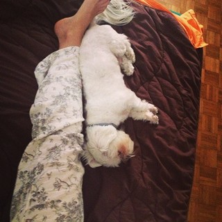 Marijana Micic feet photo 8