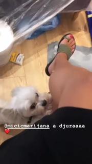 Marijana Micic feet photo 20