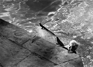 Marilyn Monroe feet photo thumbnail