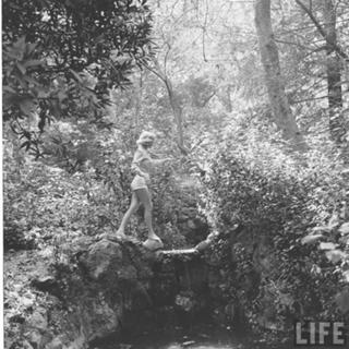 Marilyn Monroe feet photo thumbnail