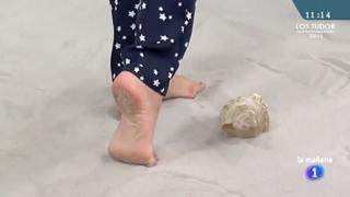Mariló Montero feet photo 8