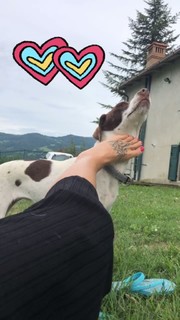 Marina Graziani feet photo 19