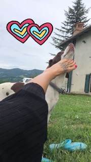 Marina Graziani feet photo 18