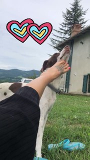 Marina Graziani feet photo 16