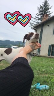 Marina Graziani feet photo 14