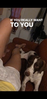 Marina Graziani feet photo 8