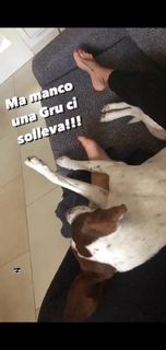 Marina Graziani feet photo 19