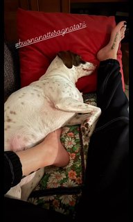 Marina Graziani feet photo 18