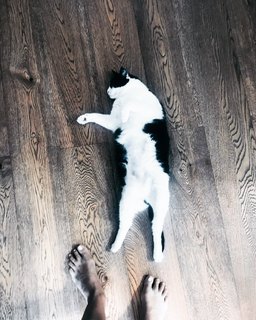 Marina La Rosa feet photo thumbnail