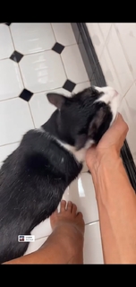 Marina La Rosa feet photo thumbnail