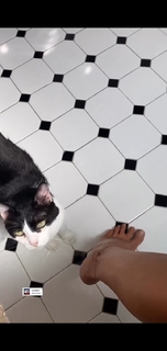 Marina La Rosa feet photo thumbnail