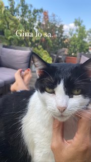 Marina La Rosa feet photo thumbnail