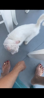 Marina La Rosa feet photo thumbnail