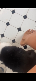 Marina La Rosa feet photo thumbnail